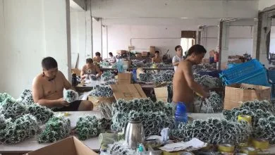 Christmas light factory