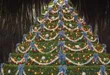 Living Christmas Tree