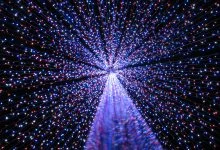 Inside a megatree