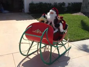 Santa in his sleigh